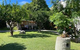 Garden Apartments Ischia Super Centrale